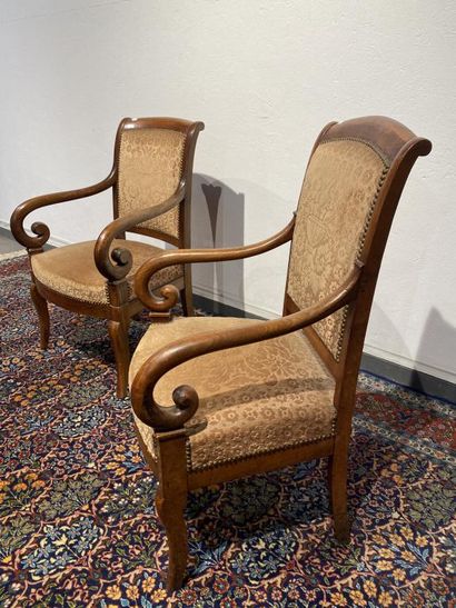 Pair of armchairs in mahogany and mahogany...