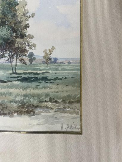 Hasan SAIM (XIX-XX)
The trees
Watercolor,...