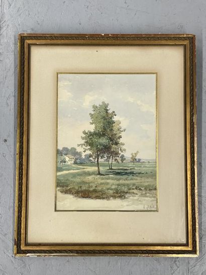 Hasan SAIM (XIX-XX)
The trees
Watercolor,...