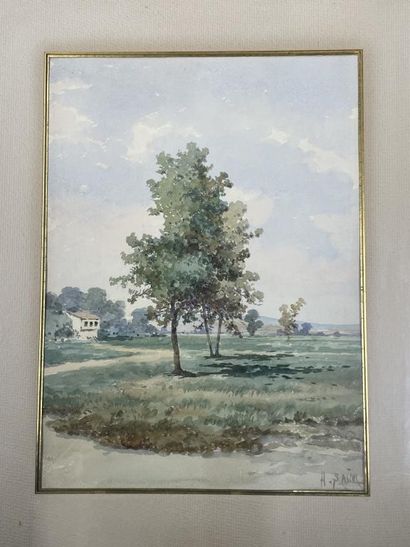 Hasan SAIM (XIX-XX)
The trees
Watercolor,...