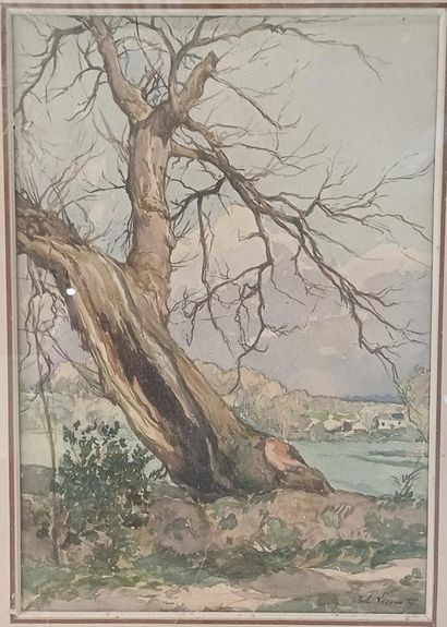 Paul LECOMTE (1842-1920)
Old tree
Watercolor...