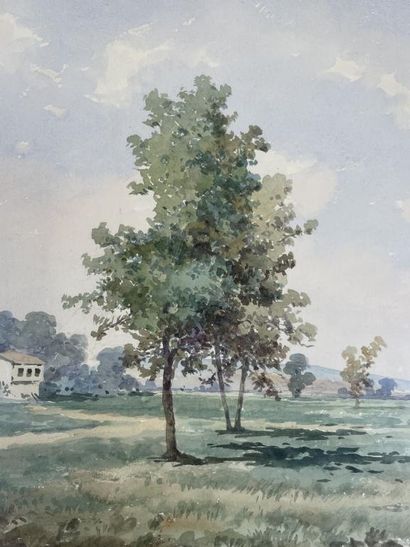Hasan SAIM (XIX-XX)
The trees
Watercolor,...