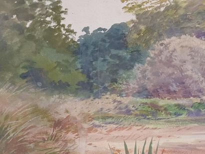 COMBES Fernand, 1856-1943
Farm pond, Rambouillet...
