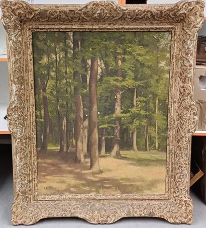Joseph BONTEMPS (1906-1978)
Sous-bois
Huile...
