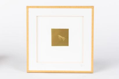Annie BOCEL, born 1988
Krill, 