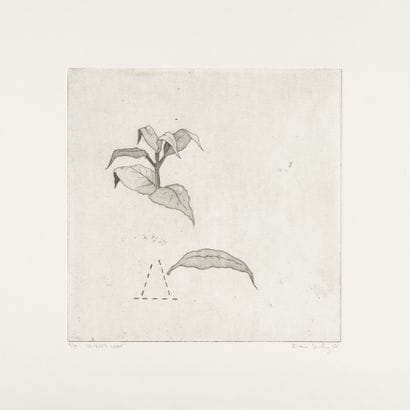 Fiona KELLY
Severed Leaf, UnEarthed Series,...