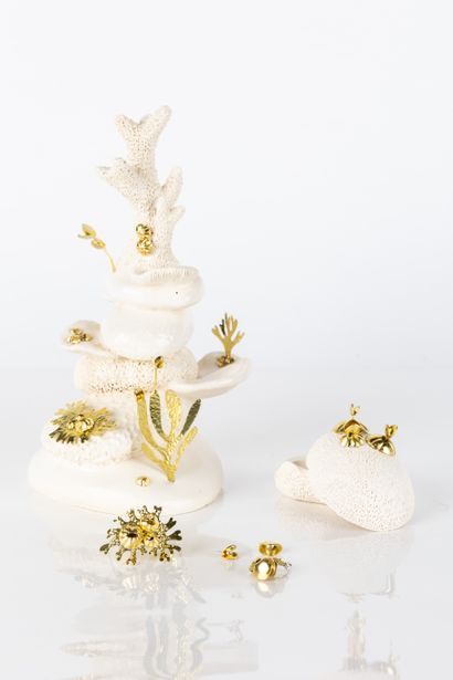 Miléna VIZIOZ, born 1983
Le récif, 2024
Jewelry...