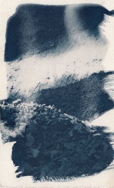 Fiona KELLY
Waste in Fallow#2, Becoming Fallow...