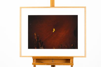 Stéphane MAHE, born 1968
Untitled, Somewhere...