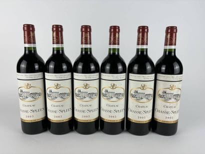 6 btls Château Chasse-Spleen 2003 - Moulis-en-Médoc...