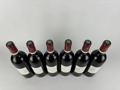 6 btls Château Chasse-Spleen 2003 - Moulis-en-Médoc...