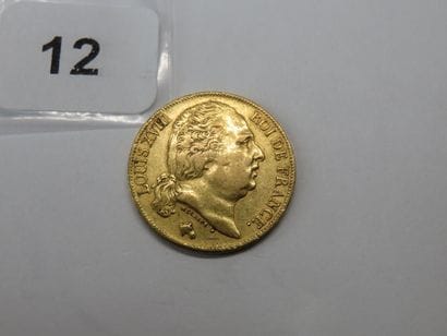 Gold coin - France - 20 Francs Louis XVIII...