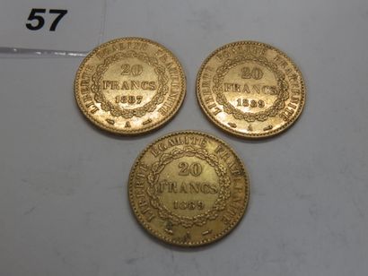 Gold coins - France - Lot of 3 x 20 Francs...