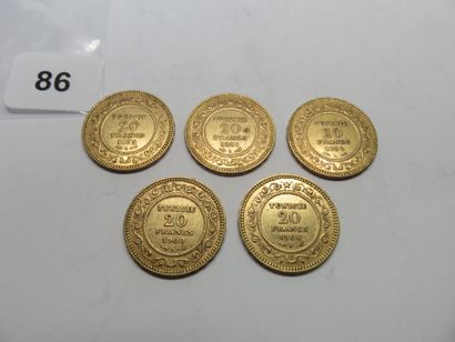 Gold coins - Tunisia (French Protectorate)...