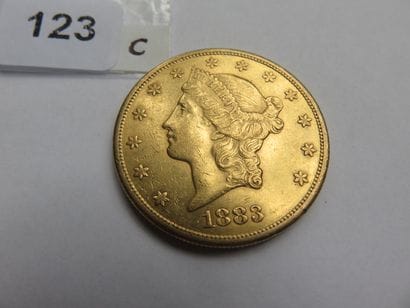Gold coin - USA - 20 dollars Liberty crowned...