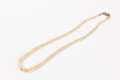 Necklace of 113 cultured pearls, diameters...