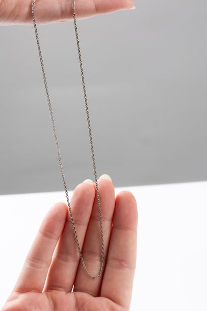 White gold forçat chain. Spring-ring clasp....