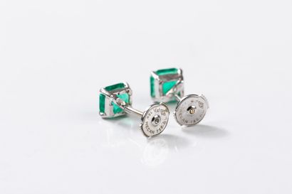 Pair of white gold earrings each holding...