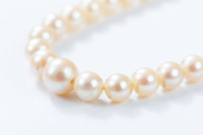 Necklace featuring 123 drop cultured pearls,...