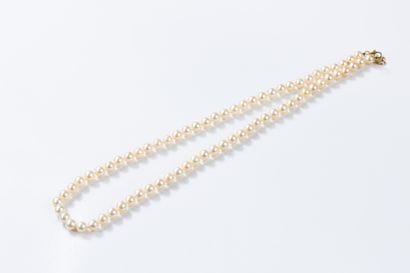 Necklace with 71 cultured pearls, diameter...