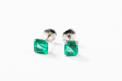 Pair of white gold earrings each holding...