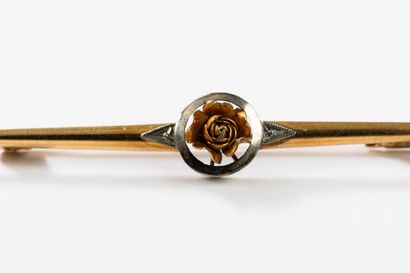 Colored gold barrette brooch centered on...