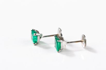 Pair of white gold earrings each holding...