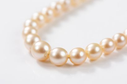 Necklace of 113 cultured pearls, diameters...