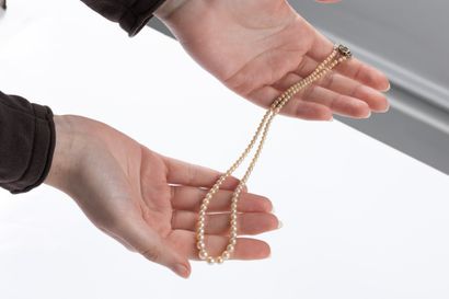 Necklace of 113 cultured pearls, diameters...