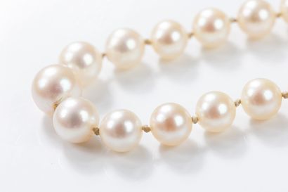 Long necklace composed of 95 cultured pearls,...