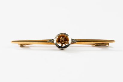 Colored gold barrette brooch centered on...