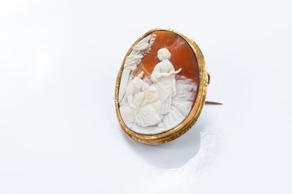 Yellow gold brooch centered on a shell cameo...