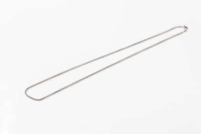 White gold palm chain. Spring-ring clasp....
