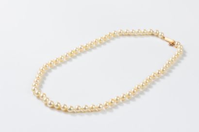 Chocker necklace featuring 61 akoya cultured...