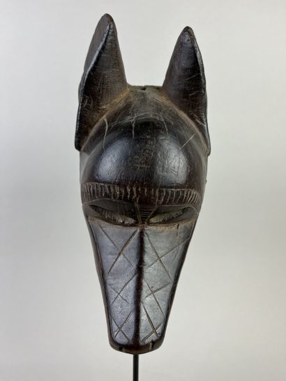 Facial mask representing a wild dog. The...