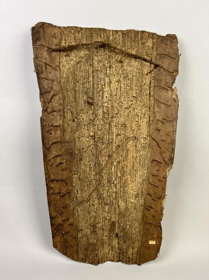 Painted animal bark. Ochre and beige vegetable...