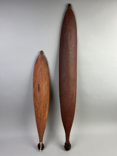 Two propellers or womera. Wood, fiber and...