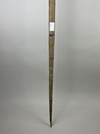 Long stick (or stylized arrow) carved with...