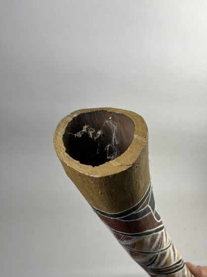 Didjeridoo. A kind of natural trumpet. Eucalyptus...