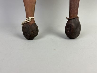 Two propellers or womera. Wood, fiber and...