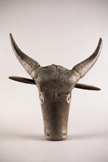 Buffalo head. Wood with black patina, trace...