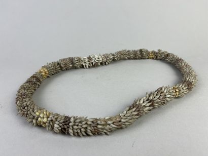 Crown made of a variety of shells (turridae)...