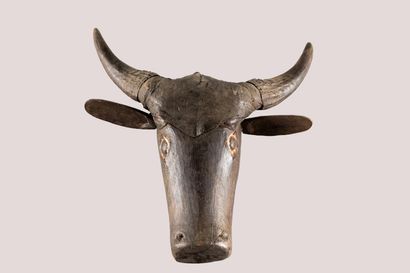 Buffalo head. Wood with black patina, trace...