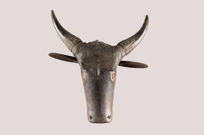 Buffalo head. Wood with black patina, trace...