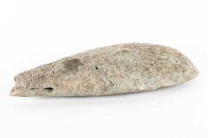 A very large votive effigy of a shark in...