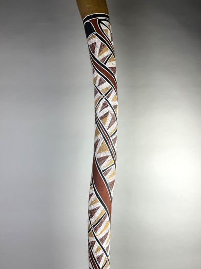 Didjeridoo. A kind of natural trumpet. Eucalyptus...