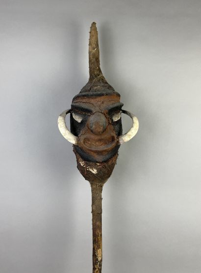Temes nevinbur with a long-nosed face, oval...