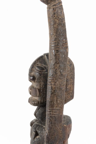 Hermaphroditic fetish depicted standing with...