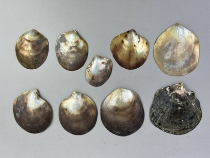 Set of nine mother-of-pearl food spoons (Pinctada...
