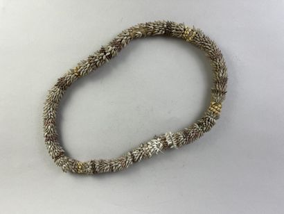 Crown made of a variety of shells (turridae)...